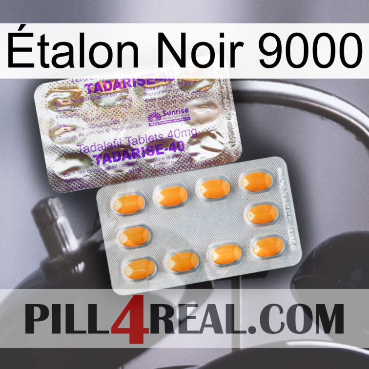 Étalon Noir 9000 new12